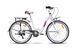 Велосипед VNC 2023' 26" Riviera A3, V4A3-2644-GP, 44см (2862), grey (shiny)/pink (shiny)