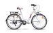 Велосипед VNC 2023' 26" Riviera A3, V4A3-2644-GP, 44см (2862), grey (shiny)/pink (shiny)